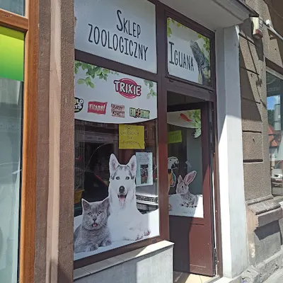 Iguana Sklep Zoologiczny